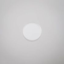 49703.ce79a04e.jpg